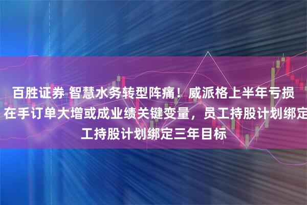 百胜证券 智慧水务转型阵痛！威派格上半年亏损8000万：在手订单大增或成业绩关键变量，员工持股计划绑定三年目标
