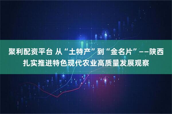 聚利配资平台 从“土特产”到“金名片”——陕西扎实推进特色现代农业高质量发展观察